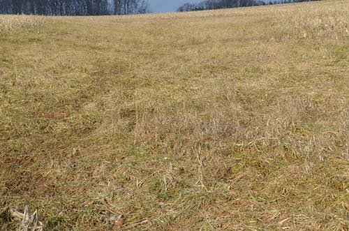 Property photo 84 - 98+/- Acres Offered in 6 Tracts or Combinations, Noble County, Indiana Farm